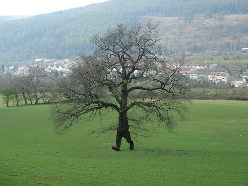 running-tree