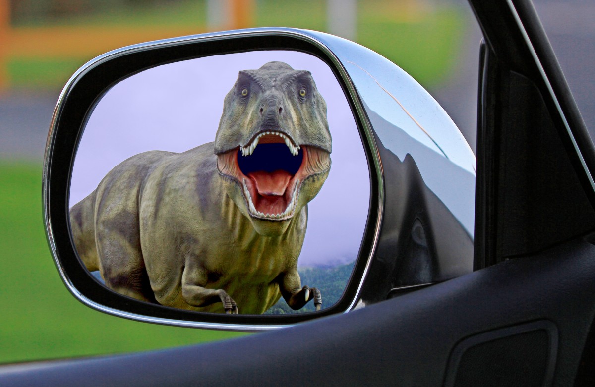 Dinosaur side mirror
